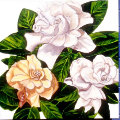 Gardenias - Acrylic 50 x 50 cm