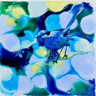 Blue Bird of Happiness 1 - Acrylic 20 x 20 cm $200