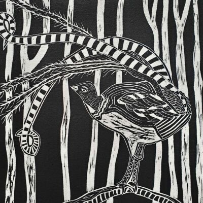 Lyre Bird  - Lino Cut 38 x 48 cm
$360 Unframed