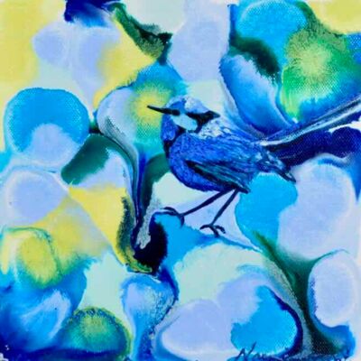 Blue Bird of Happiness 2 - Acrylic 20 x 20 cm $200